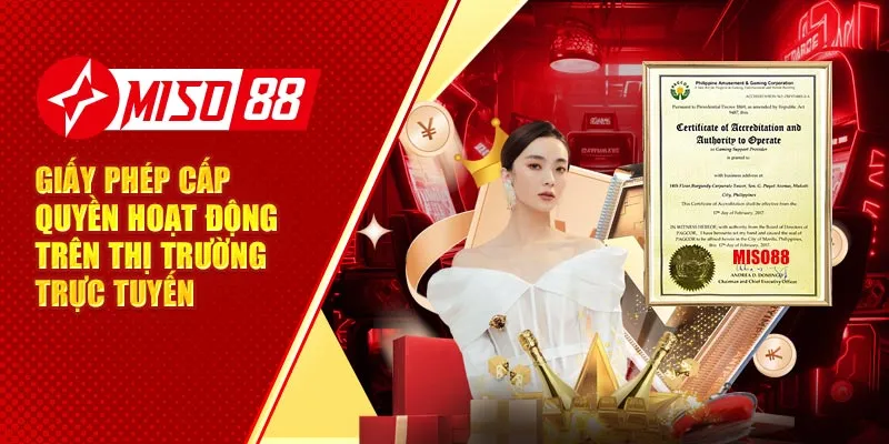 giấy phép cấp quyền hoạt động trên thị trường