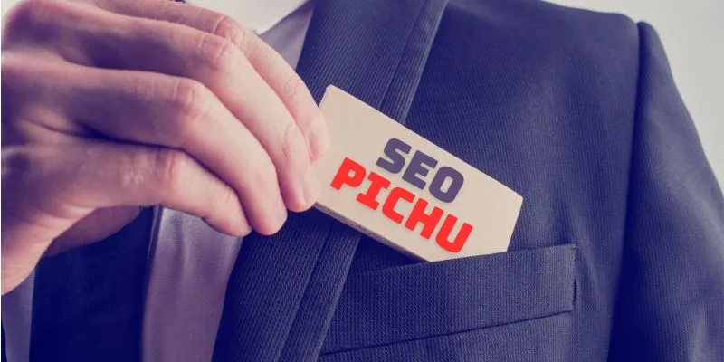 Tiểu sử của SEO PICHU