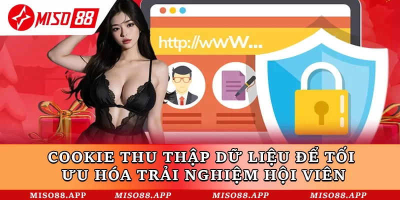 Cookie thu thập dữ liệu để tối ưu hóa trải nghiệm hội viên