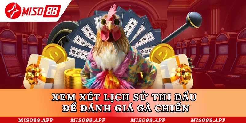 Xem xét lịch sử thi đấu để đánh giá gà chiến