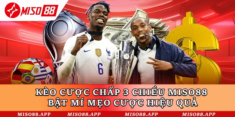 Kèo Cược Chấp 3 Chiều Miso88 - Bật Mí Mẹo Cược Hiệu Quả